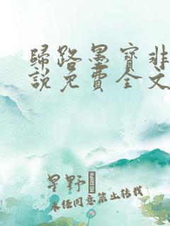 归路墨宝非宝小说免费全文阅