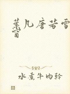 叶凡唐若雪无弹窗