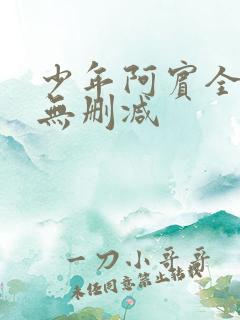 少年阿宾全在线无删减