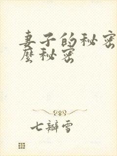 妻子的秘密是什么秘密