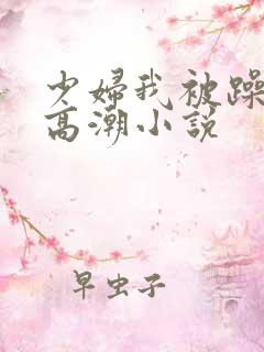 少妇我被躁爽到高潮小说