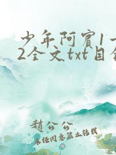 少年阿宾1一72全文txt目录