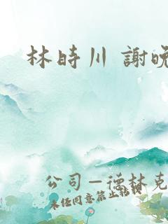 林时川 谢晚烟