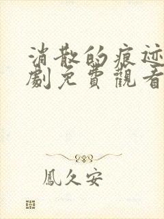 消散的痕迹电视剧免费观看完整版