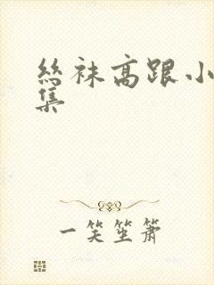 丝袜高跟小说合集