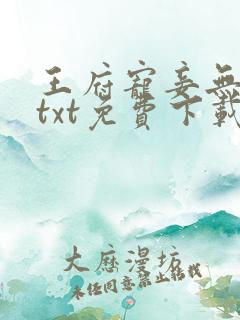 王府宠妾无删减txt免费下载