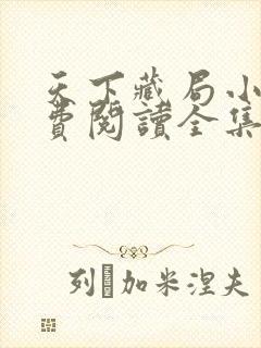 天下藏局小说免费阅读全集