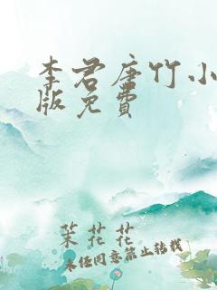 李君唐竹小说正版免费