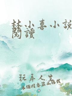 林小喜小说在线阅读