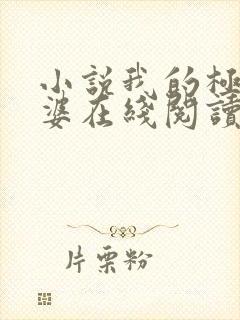 小说我的极品老婆在线阅读免费