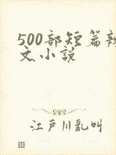 500部短篇辣文小说