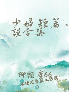 少妇 短篇 小说合集