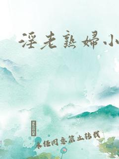 淫老熟妇小说