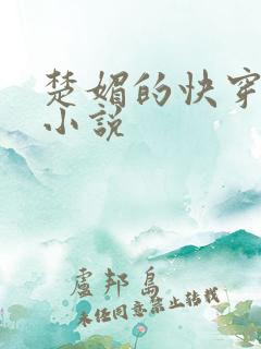 楚媚的快穿日常小说