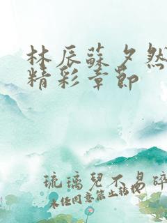 林辰苏夕然小说精彩章节