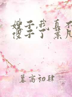 嫂子,我真不是傻子了 叶凡