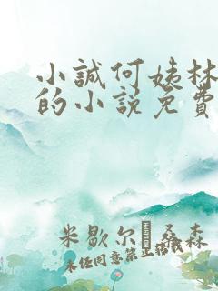 小诚何姨林琇芳的小说免费阅读