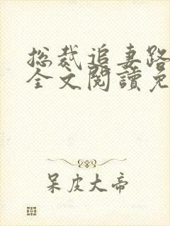 总裁追妻路漫漫全文阅读免费