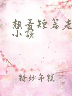 想看短篇老女人小说