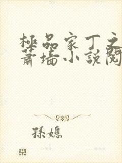 极品家丁之春起萧墙小说阅读
