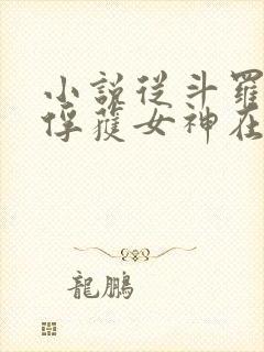 小说从斗罗开始俘获女神在线阅读全文