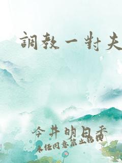 调教一对夫妻奴