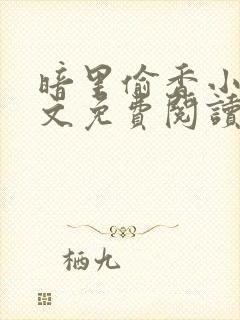 暗里偷香小说全文免费阅读