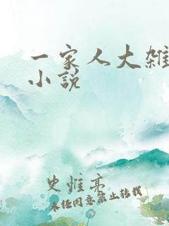 一家人大杂烩的小说