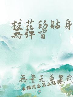 校花的贴身高手无弹窗