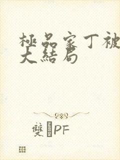 极品家丁被黑鬼大结局