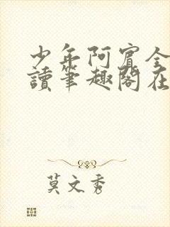 少年阿宾全文阅读笔趣阁在线阅读