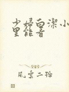 少妇白洁小说哪里能看