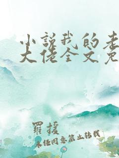 小说我的老公是大佬全文免费阅读