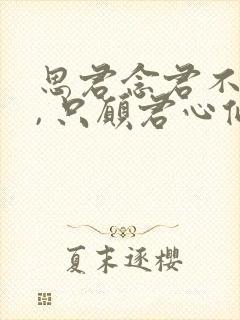 思君念君不见君, 只愿君心似我心