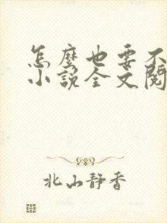 怎么也要不够她小说全文阅读
