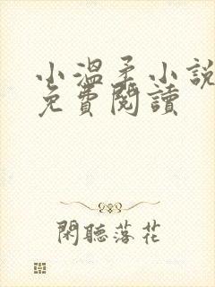 小温柔小说全文免费阅读