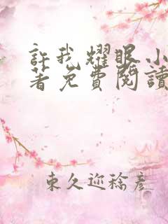 许我耀眼小说原著免费阅读