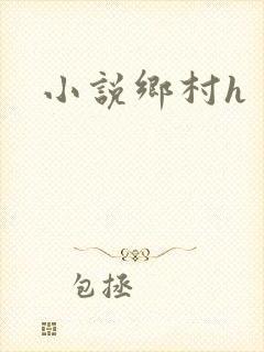 小说乡村h