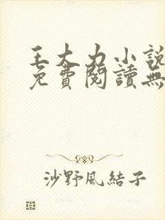 王大力小说小说免费阅读无弹窗