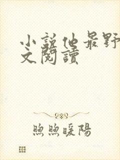 小说他最野了全文阅读