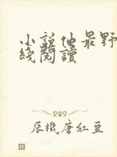 小说他最野了在线阅读