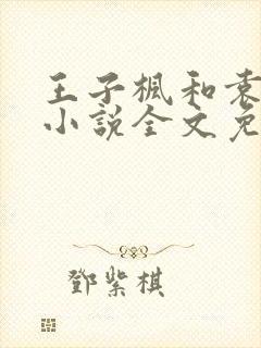 王子枫和袁雯洁小说全文免费阅读