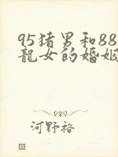 95猪男和88龙女的婚姻怎么样