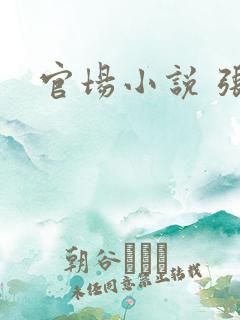官场小说 张梅