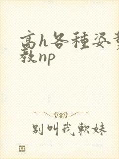 高h各种姿势调教np