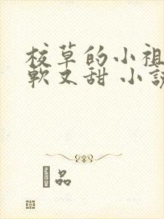 校草的小祖宗又软又甜 小说