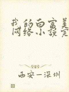 我的白富美老婆网络小说完整版