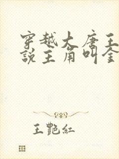 穿越大唐王朝小说主角叫金峰