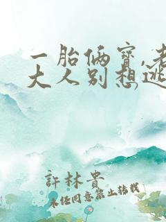 一胎俩宝,老婆大人别想逃的小说