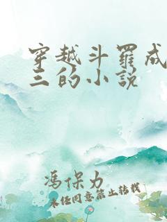 穿越斗罗成为唐三的小说